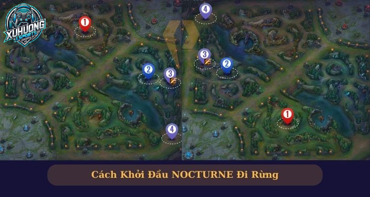 build nocturne