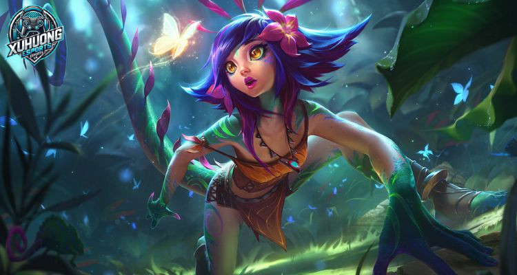 neeko build