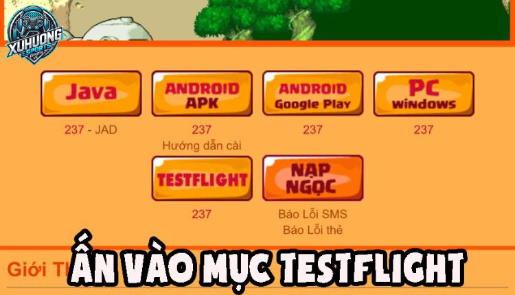 Nhấn chọn mục Testflight để lấy đường dẫn 