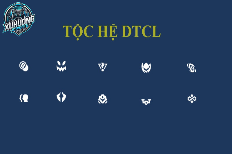 Khái niệm về hệ dtcl