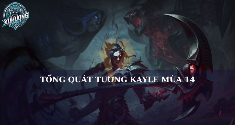 Tổng quan Kayn mùa 14
